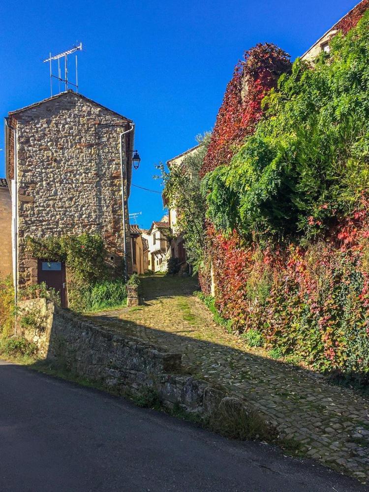 Rue Du Barri Lejlighed Cordes-sur-Ciel Eksteriør billede